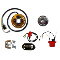 Rotor MINARELLI 3 P4 P4R P5 P5R P6 P6R K6 AM5 AM6 Corsa Corta / MACAL / APRILA MX / PEGASSO / RS / RX / BETA / BULTACO / CAGIVA MITO / DERBI EURO 1 2 3 / GILERA / RIEJU / com luz 2 mapas potencia reprogramável - HPI Rotor MINARELLI 3 P4 P4R P5 P5R P6 P6R K6 AM5 AM6 Corsa Corta / MACAL / APRILA MX / PEGASSO / RS / RX / BETA / BULTACO / CAGIVA MITO / DERBI EURO 1 2 3 / GILERA / RIEJU / com luz 2 mapas potencia reprogramável - HPI