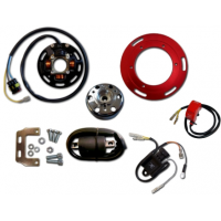 Rotor YAMAHA YZ 125 74-75 / MX 100 / 125 / 175 / HONDA CR 250 M 73-76 com luz 2 mapas potencia - HPI Rotor YAMAHA YZ 125 74-75 / MX 100 / 125 / 175 / HONDA CR 250 M 73-76 com luz 2 mapas potencia - HPI