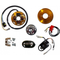 Rotor PIAGGIO 50 NRG / TYPHOON / VESPA LX / LXV / ZIP / APRILIA SCARABEO / GILERA RUNNER / STALKER / TYPHOON / ITALJET / PUCH com luz 2 mapas potencia - HPI Rotor PIAGGIO 50 NRG / TYPHOON / VESPA LX / LXV / ZIP / APRILIA SCARABEO / GILERA RUNNER / STALKER / TYPHOON / ITALJET / PUCH com luz 2 mapas potencia - HPI