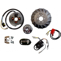 Rotor PIAGGIO VESPA 50 / 80 / 100 / 125 / PK / XL / XLS / ETS / S / SS / N / HP com luz 2 mapas potencia - HPI Rotor PIAGGIO VESPA 50 / 80 / 100 / 125 / PK / XL / XLS / ETS / S / SS / N / HP com luz 2 mapas potencia - HPI