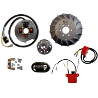 Rotor PIAGGIO VESPA 50 / 80 / 100 / 125 / PK / XL / XLS / ETS / S / SS / N / HP com luz 2 mapas potencia reprogramável - HPI Rotor PIAGGIO VESPA 50 / 80 / 100 / 125 / PK / XL / XLS / ETS / S / SS / N / HP com luz 2 mapas potencia reprogramável - HPI