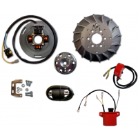 Rotor PIAGGIO VESPA 125 / 150 / PX com luz 2 mapas potencia reprogramável - HPI Rotor PIAGGIO VESPA 125 / 150 / PX com luz 2 mapas potencia reprogramável - HPI