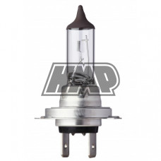 Lâmpada PX26D 12V 55W - FLÖSSER