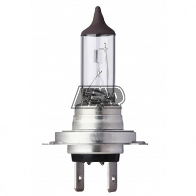 Lâmpada PX26D 12V 55W - FLÖSSER